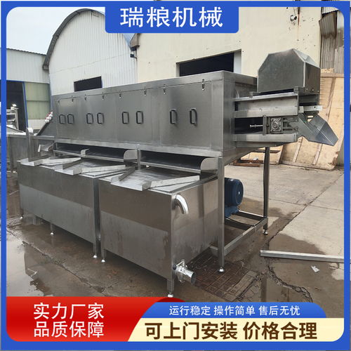 瑞粮机械生产 大姜加工设备 洗姜机器 鲜姜去泥设备