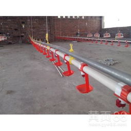 饲养专用设备环保机械喂养养殖水线——水资源专用机械设备制造